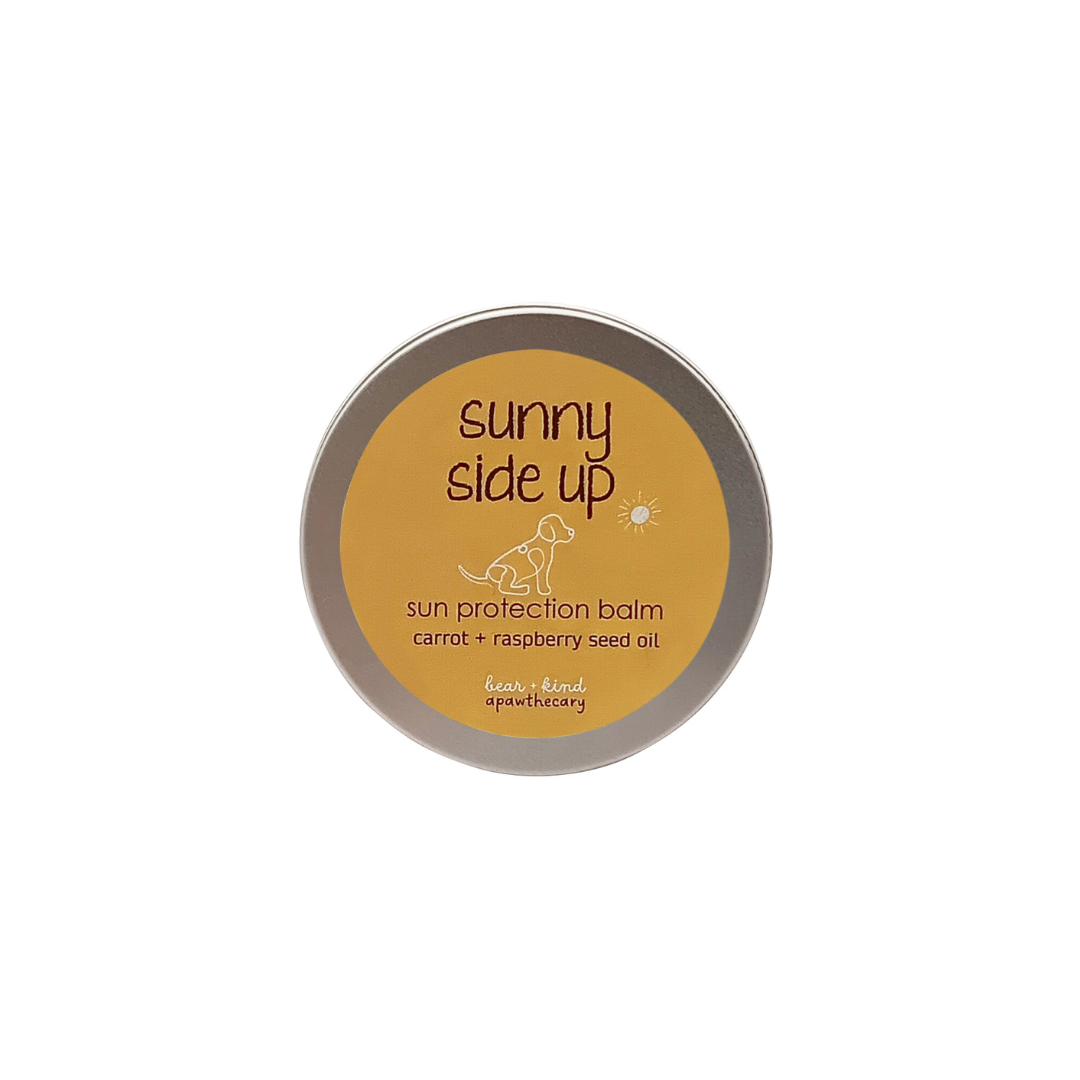 Sunny Side Up Sunscreen For Dogs-1