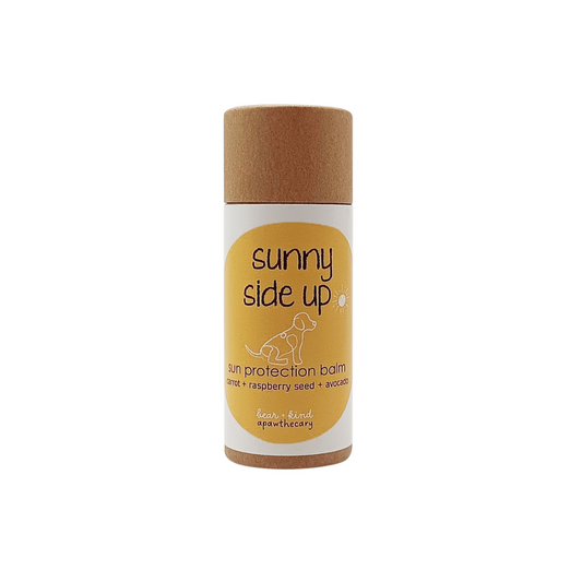 Sunny Side Up Sunscreen For Dogs-0